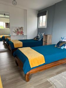 圣若瑟Anaïs Pool的一间设有4张床的客房,配有蓝色和黄色的毯子