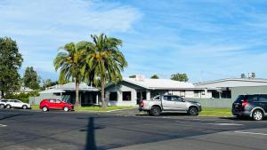 多尔比米亚尔汽车旅馆的一群停在一个棕榈树停车场的汽车