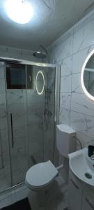 帕莱Zlatni Hrast的带淋浴、卫生间和盥洗盆的浴室