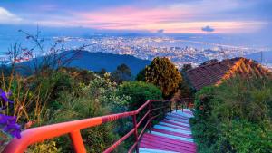 峇都丁宜MyHome Batu Feringghi Penang的通往山丘的楼梯,山丘背景是城市