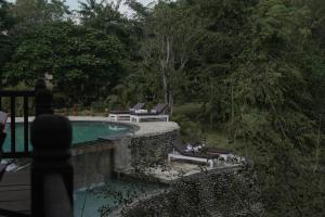 奇旺Siddhartha Vilasa Banbas, Chitwan的毗邻度假酒店的带躺椅的游泳池