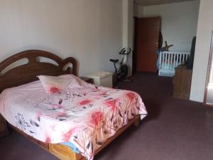 瓜达拉哈拉El paraíso的一间卧室配有一张带粉红色棉被的床
