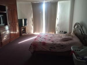 瓜达拉哈拉El paraíso的一间卧室设有一张床、一台电视和一个窗口。