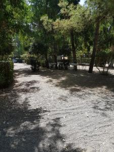 罗萨诺Oriental Park的树荫下的公园,公园里设有树木和野餐桌