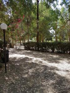 罗萨诺Oriental Park的公园里设有长凳、树木和灯