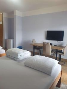 萨格勒布欧罗巴酒店的一间卧室配有一张床和一张书桌及电视