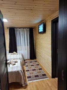 巴亚马雷Cabana Alpha的一间小屋内带两张床和电视的房间