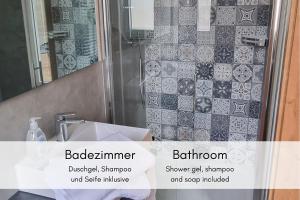 布雷姆Terrassenidylle in Winzerhaus的带淋浴和盥洗盆及镜子的浴室