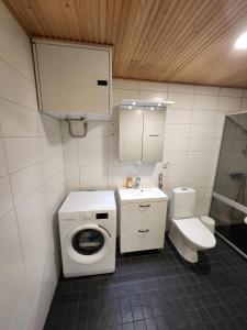 图尔库Viihtyisä täysin kalustettu ja varustettu yksiö Logomolla 1vrk-36kk的一间带卫生间和水槽的小浴室