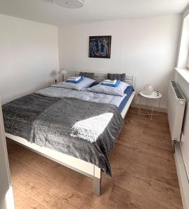 鲁斯特Ferienwohnung Tännle的一间卧室配有一张带蓝色枕头的大床