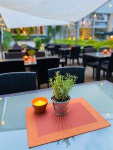 博伦多夫Burg Bollendorf by PRISMA的餐厅的桌上放着蜡烛和植物