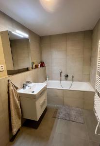 贝内茨科Sunny and quiet brand-new appartment with a terrase at Benecko 46的浴室配有盥洗盆和浴缸。