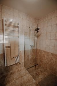 Molnár Apartment的带淋浴的浴室和玻璃门