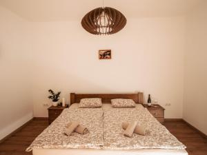 Molnár Apartment的一间卧室配有一张带两个枕头的床