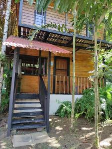 卡维塔Papaya Wildlife Lodge的一座房子,楼梯通往