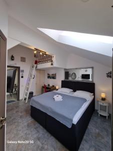SînpetruCASA ARYAN的一间卧室设有一张大床和梯子