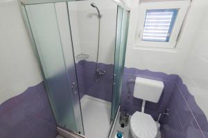 苏科尚Vila Niko Dalmacija的一间带卫生间和玻璃淋浴间的浴室