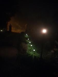 塞罗阿苏尔Mandalas Ecolodge的夜晚街上的一排灯