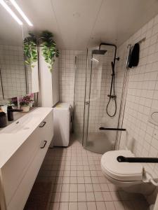 奥斯陆Central and cozy next to Oslo S的带淋浴、卫生间和盥洗盆的浴室