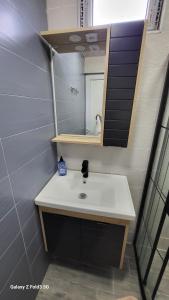 巴统VILLA GANTIADI的一间带水槽和镜子的浴室