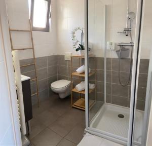 普罗旺斯艾克斯Les Terrasses D'Aix - Studio avec Grande Terrasse privée的带淋浴和卫生间的浴室
