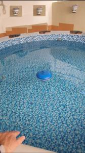 GuadamurCasaPepi, 5 minutos Parque Puy du Fou的游泳池里的蓝色飞盘