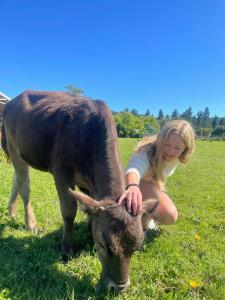 普利登堡湾Bella Manga Country Escape的一只小女孩在田里 ⁇ 着一头牛