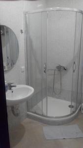 德辛Apartment Zámecká的带淋浴和盥洗盆的浴室