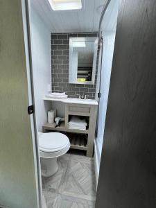 霍姆斯泰德Homestead RV的一间带卫生间、水槽和镜子的浴室