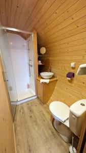 Chanos-CursonLa Ferme des Denis的浴室配有卫生间、盥洗盆和淋浴。