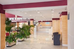 阿尔考空Holiday Inn Express Madrid-Alcorcón, an IHG Hotel的医院的大厅,有盆栽植物