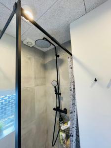 比伦德1 private room in Billund的带淋浴的浴室,天花板上配有灯