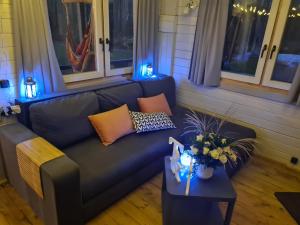 拉普梅茲采姆斯Pie Putniem的客厅配有沙发和带灯的桌子