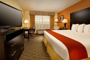 马纳萨斯马纳萨斯智选假日套房酒店的一间酒店客房,配有一张大床和一台平面电视