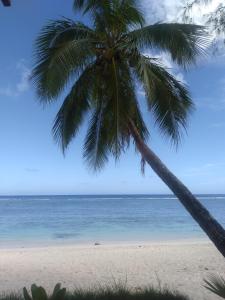 阿罗朗吉Te Moana Nui Villas的海滩上的棕榈树与大海
