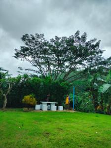 Hana Villa Hatyai外面的花园
