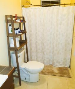 Tortola IslandOCEAN VIEW VILLA, Tortola, British Virgin Islands的浴室配有带浴帘的卫生间