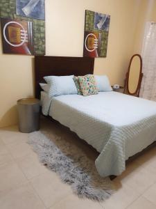 Tortola IslandOCEAN VIEW VILLA, Tortola, British Virgin Islands的一间卧室配有一张带地毯的床