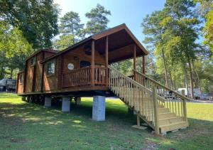 阿什伯勒Serene 1BR Cabin near NC Z00 with Loft & Waterview的草上有楼梯的树屋