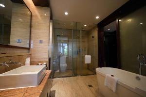 三亚三亚亚龙湾维景国际别墅度假酒店的带浴缸、淋浴和卫生间的浴室