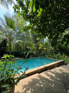 乌纳瓦图纳奥洛拉住宿加早餐旅馆的花园中的一个游泳池