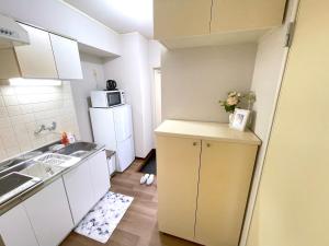 东京Gest Residence EDORIVER Airport Line Self check in的一间带水槽和冰箱的小厨房