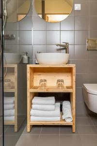 博希尼Hiša Erlah的浴室设有水槽和带毛巾的架子。