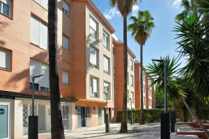 塞维利亚Precioso piso residencial的一群棕榈树在一座建筑前