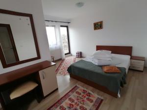 佩什泰拉加洛菲塔岭酒店的一间卧室配有一张床、梳妆台和镜子