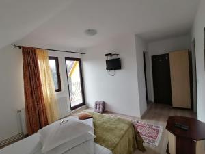 佩什泰拉加洛菲塔岭酒店的一间卧室设有一张床、一个窗口和一台电视。