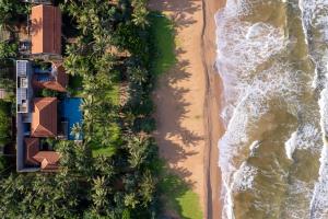 本托塔Kirana - A Santani Villa的棕榈树海滩上方的景色