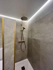 库迪列罗Loft Anfiteatro Cudillero的浴室内配有淋浴和头顶淋浴