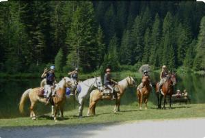 夏蒙尼-勃朗峰Andro的一群骑马的人在湖边