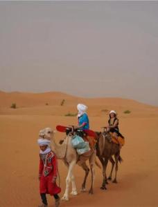 梅尔祖卡Merzouga Luxurious Camp的两个人骑着骆驼在沙漠中